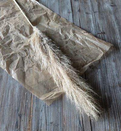 Pampas strå Pampas strå